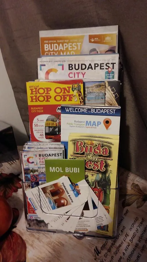 Great Buda Apartman بودابست المجر